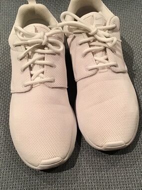 Nike Roche one mesh running shoe